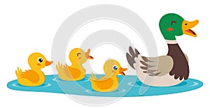 Cartoon Illustration Of Mother And Baby Ducks