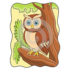 cartoon illustration an owl perched coolly on a fallen tree trunk photo