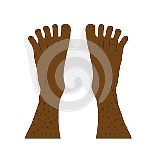 Cartoon illustration of pair of bare feet with normal healthy posture of toes. Male dark skin feet top view.