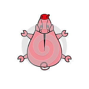 Cartoon illustration piggy. pig top view.
