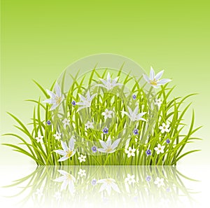 Cartoon illustration of spring grass background