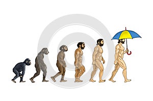 Cartoon theory of evolution  white background