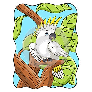 cartoon illustration white parrot is perched coolly on one of the tree trunks photo