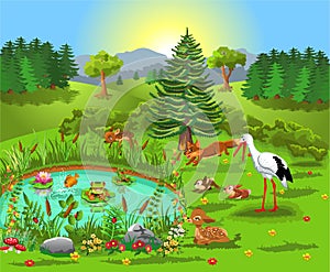 Cartoon illustration of wild animals living in the forest and coming to the pond