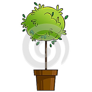 Cartoon illustration of young green tree plant growing in pot