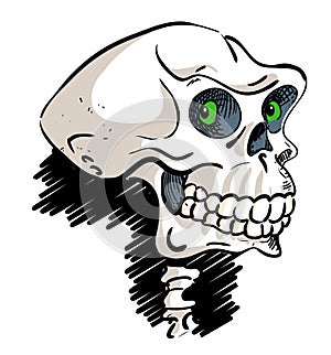 Cartoon image of ancient skull