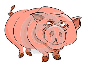 Cartoon image of huge pig