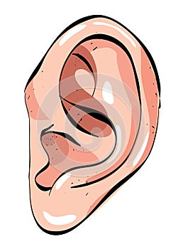 Cartoon image of human ear