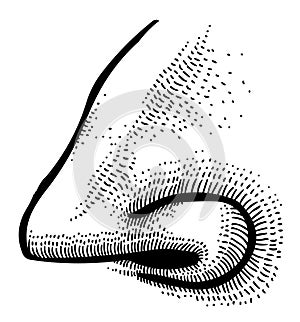 Cartoon image of human nose
