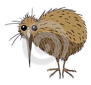 Cartoon image of kiwi bird