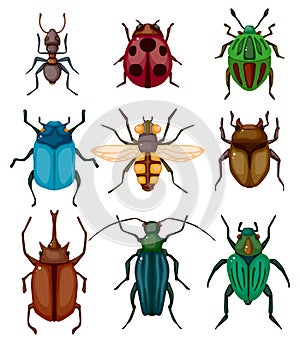 Diseno de pintura insectos chinches icono 