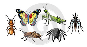 Cartoon Insect Collection featuring Various Species on a White Background