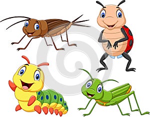 Cartoon insect collection set