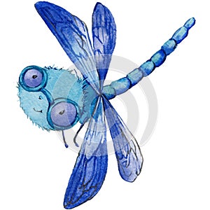 Cartoon insect dragonfly watercolor illustration.