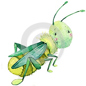 Cartoon insect grasshopper watercolor illustration.