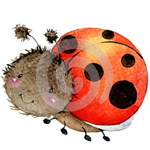 Cartoon insect ladybug watercolor illustration.