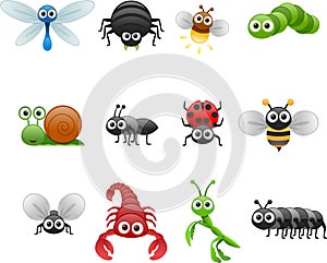 Cartoon insect set