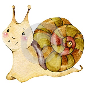 Cartoon insect snail watercolor illustration.