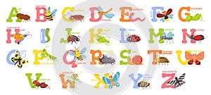 Cartoon insects alphabet. Funny bug letters, comic insect abc for kids and cute bugs vector illustration set