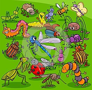 Cartoon insects animal characters group