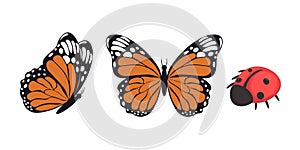 Cartoon insects butterfly and ladybug isolated on white background. Vector