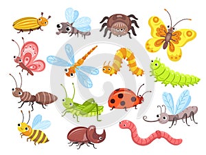 Cartoon insects. Fly bug, cute butterfly and beetle. Funny garden animals. Ant bumblebee and spider ladybug for children