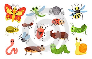 Cartoon insects. Happy bugs, cute little beetle and smiled caterpillar. Wildlife insect vector Illustration set