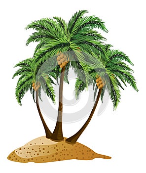 Cartoon island with palms