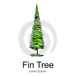 Cartoon isolated fin summer tree on a white background icon, outdoor park with branch, leafs on green grass vector