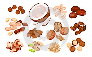 Cartoon isolated organic dry nutty food mix, natural snack collection with healthy coconut almond walnut hazelnut cashew