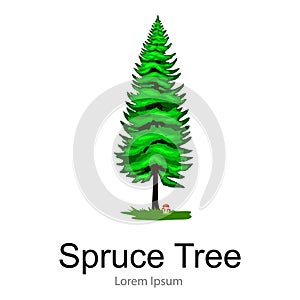 Cartoon isolated spruce summer tree on a white background icon, outdoor park with branch, leafs on green grass vector