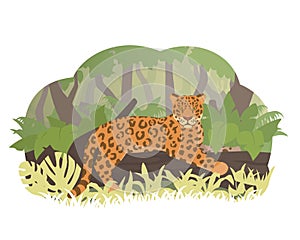 Cartoon jaguar lying on a tree in jungle. Vector illustration. Rainforest inhabitants.