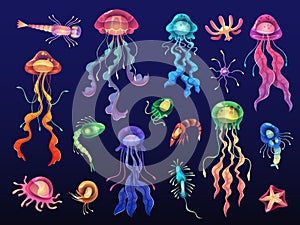 Cartoon jellyfishes. Beautiful deep water glowing creatures, ocean underwater plankton, starfish and shrimp, transparent
