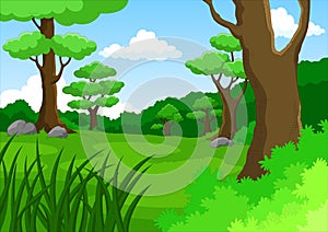 Cartoon jungle background