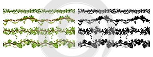 Cartoon jungle liana branches, hanging creepers seamless dividers. Tropical green liana plants with flowers and foliage flat