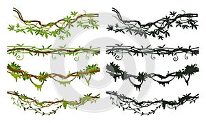 Cartoon jungle liana dividers, hanging creeper branches. Jungle rainforest green liana plants with flowers and foliage flat vector