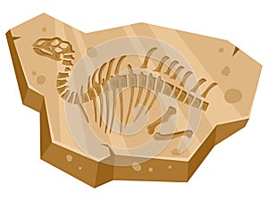 Cartoon jurassic dino ancient archeology fossil. Palaeontology reptile bones, archeology excavation artefacts flat vector photo