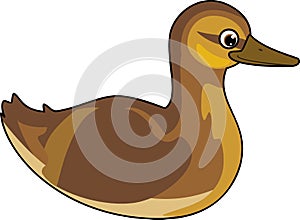 Cartoon juvenile mallard or wild duck Anas platyrhynchos afloat