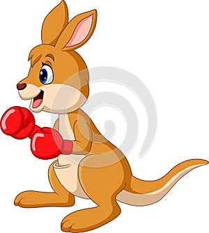 Cartoon kangaroo boxing isolated on white background