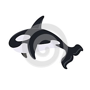 Cartoon killer whale isolated on white background. Cute whale.