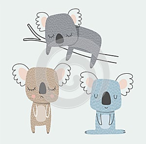 cartoon koala set. vector illustration