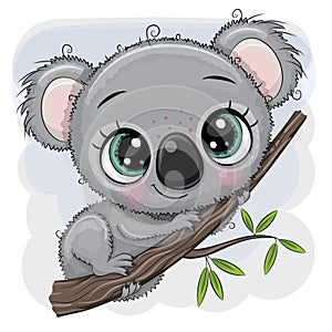 Cartoon Koala is sitting on a tree photo