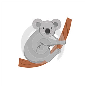 Cartoon koala on a white background.Flat cartoon illustration for kids