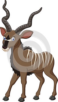 Cartoon kudu antelope