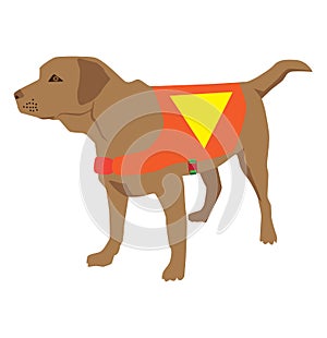 Cartoon labrador retriever rescue Dog. Lifeguard dog Squadron. Vector illustration.