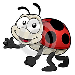 Cartoon Lady bug photo