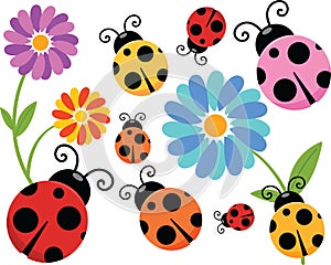 Cartoon Ladybug Clipart