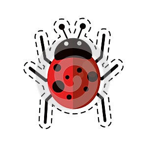 Cartoon ladybug fly antenna animal