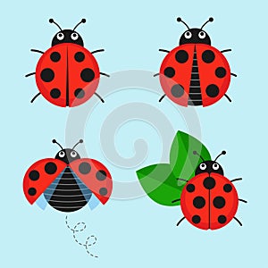Cartoon ladybug vector set