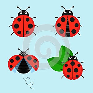 Cartoon ladybug vector set photo